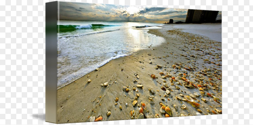 Beach Sunset Navarre Shore Seashell Sand PNG