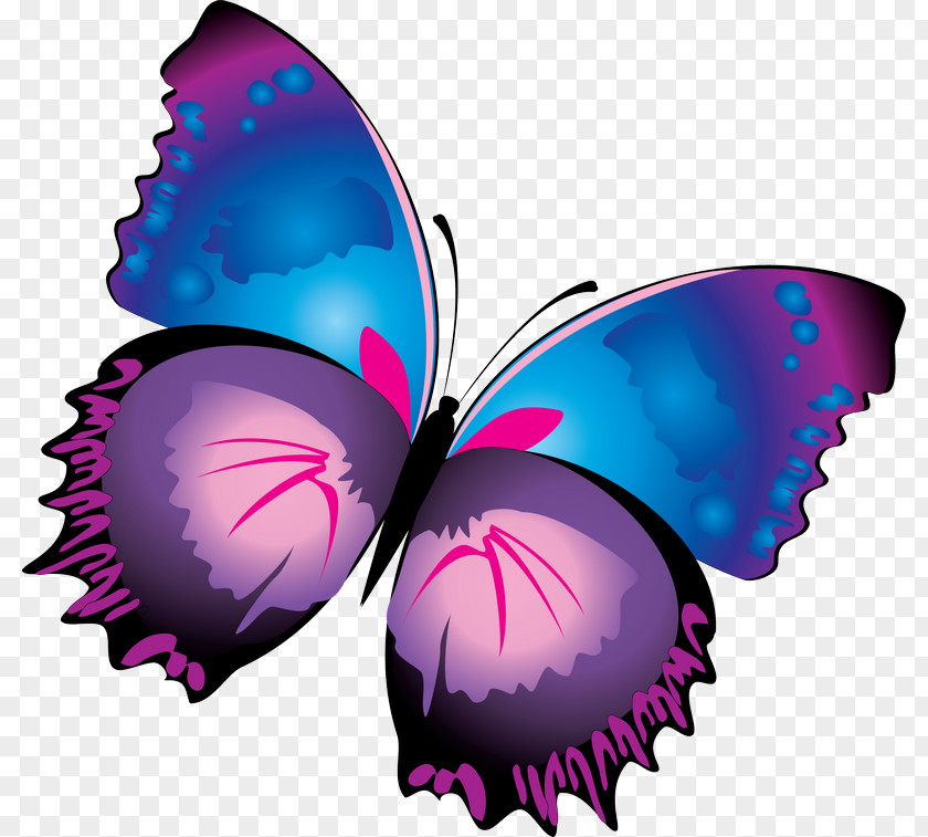 Butterfly Purple Clip Art PNG