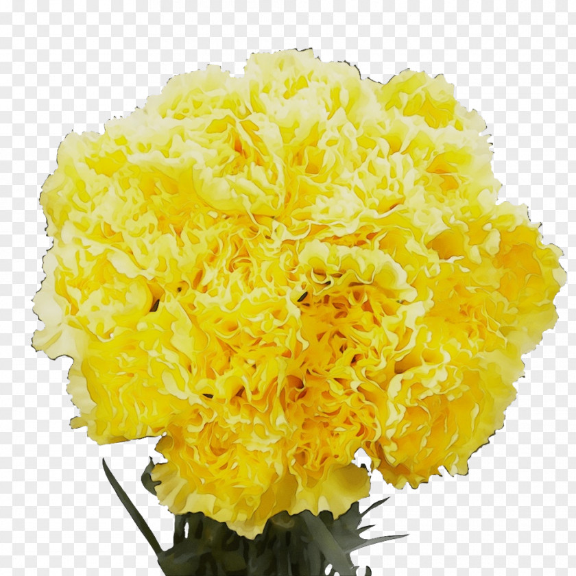 Cut Flowers Yellow Flower Cutting PNG