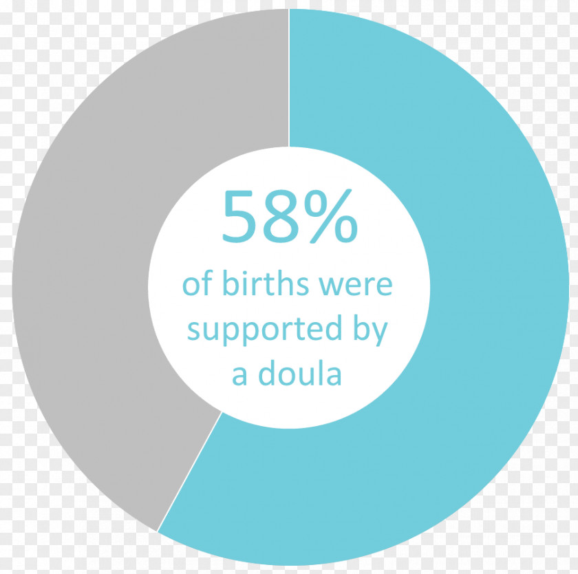 Doula Tax Report Twin Cities Midwifery 青色申告 Water Birth PNG