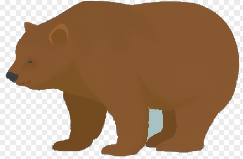 Fur Wildlife Bear Cartoon PNG