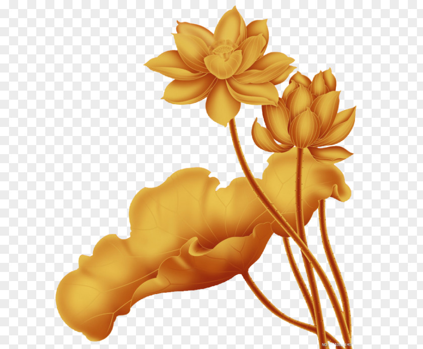 Golden Chinese Style Lotus Decoration Pattern China Nelumbo Nucifera Gold PNG