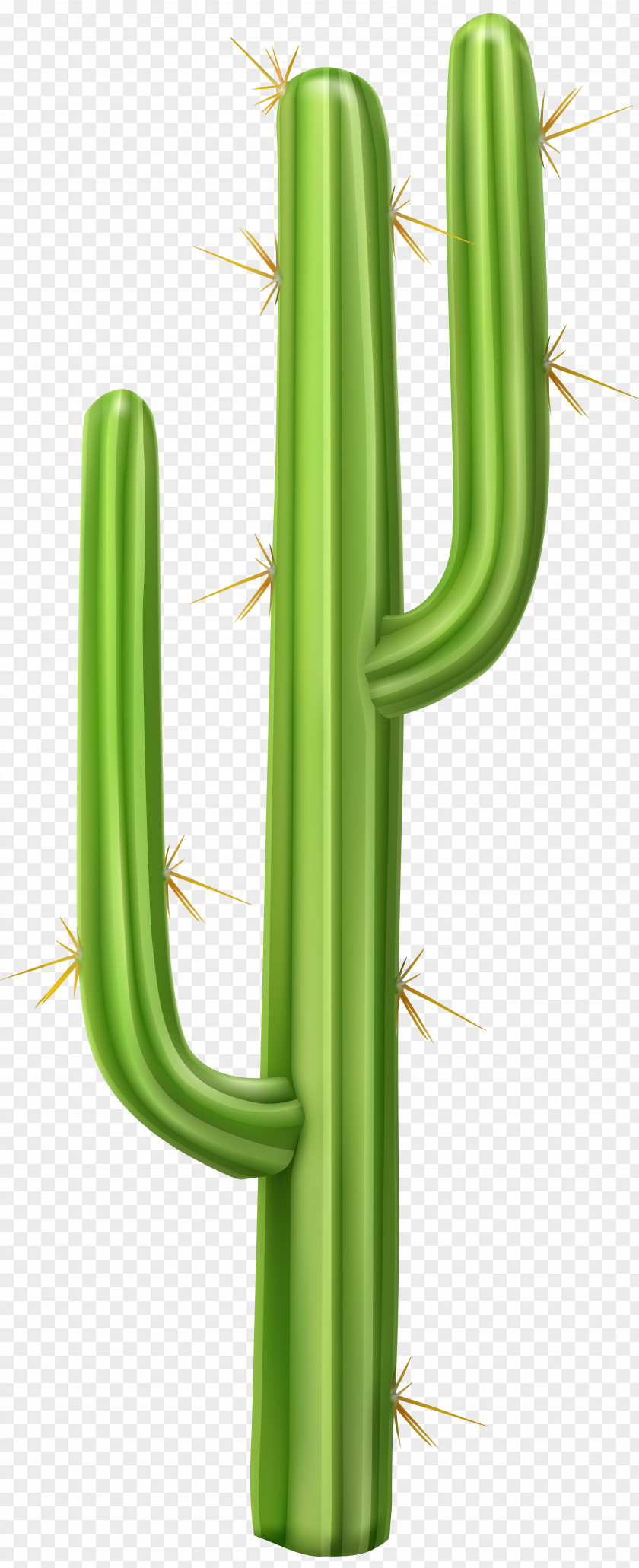 Cactus Cactaceae Saguaro Clip Art PNG