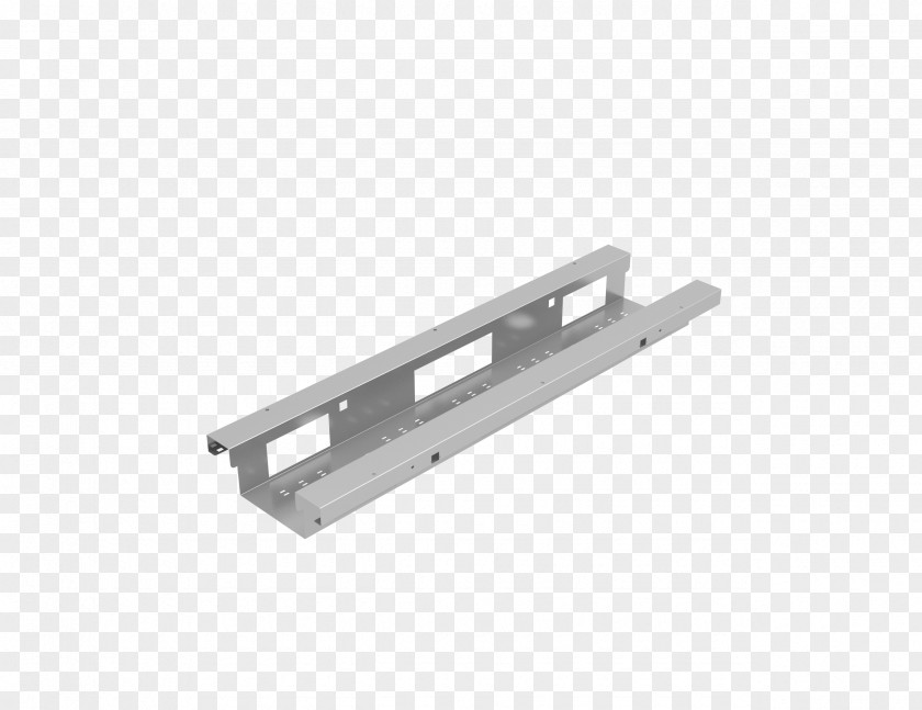 Carry A Tray Car Angle PNG