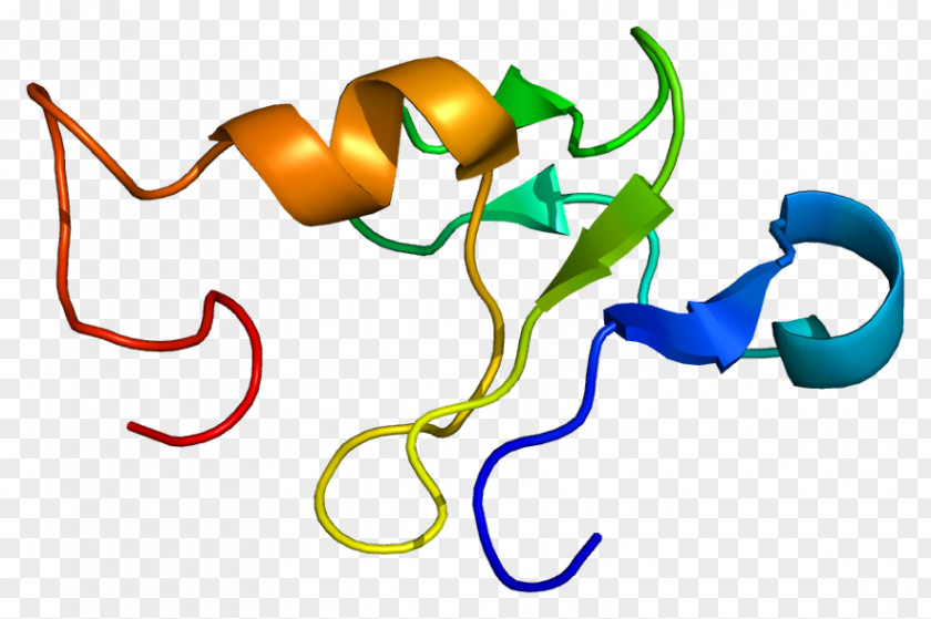 GTF2H2 Transcription Factor II H XPB GTF2H5 ERCC2 PNG