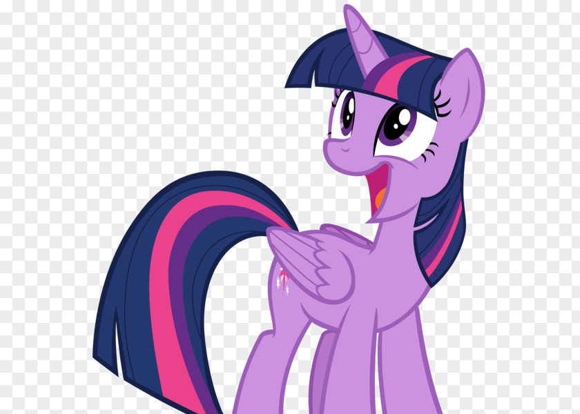 My Little Pony Twilight Sparkle Rainbow Dash Equestria PNG