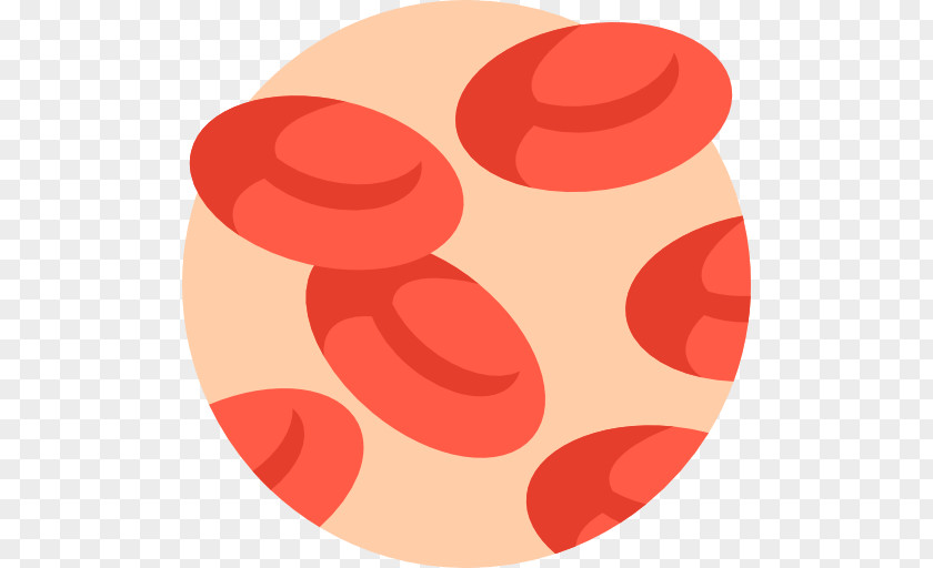 Red Blood Cell Erythrocyte Cord PNG
