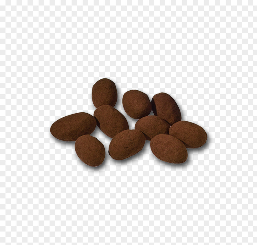 Almond Plant Chocolate PNG