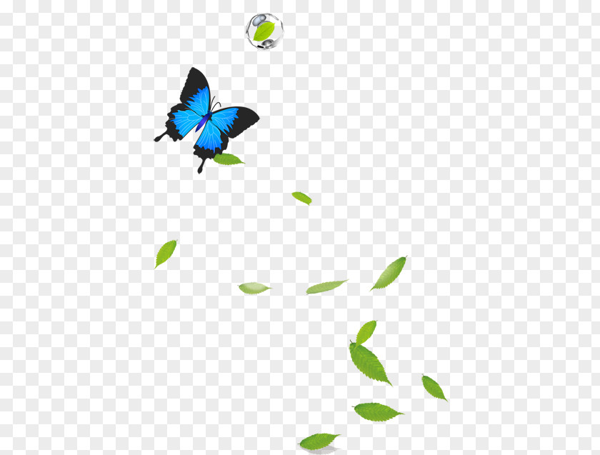 Grass Butterfly Google Images Computer File PNG