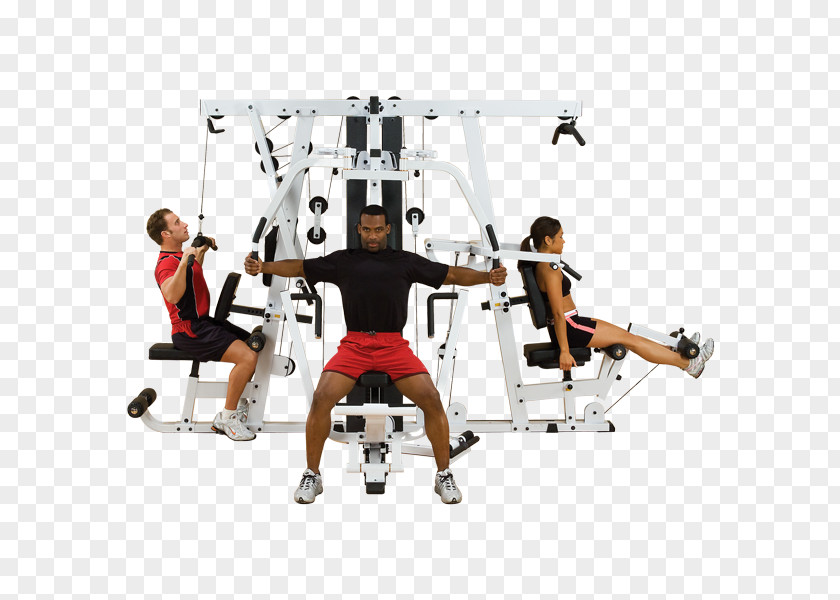 Gymnastics Exercise Equipment Fitness Centre Bench Physical PNG
