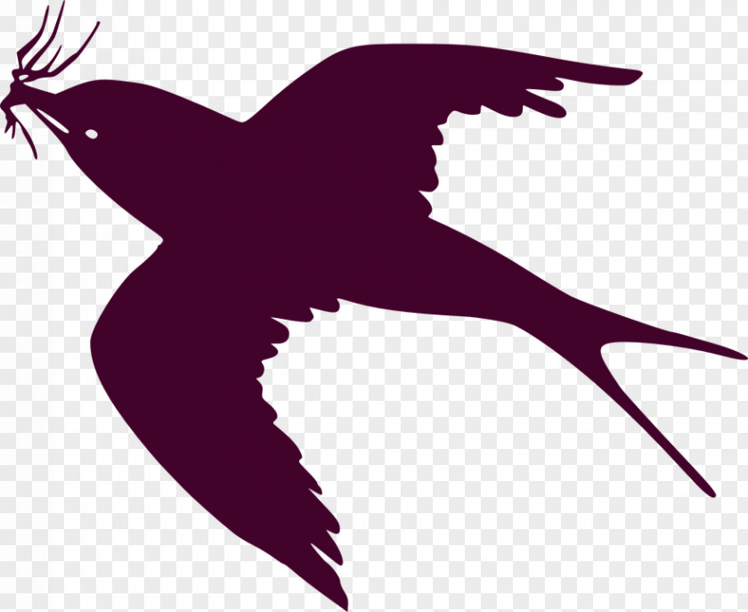 Bird Swallow Clip Art Vector Graphics Drawing PNG