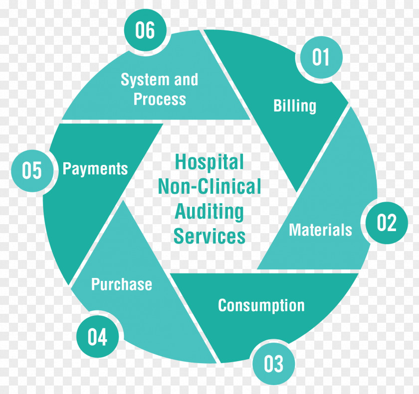 Clinical Audit Service Health Care Company Hospital PNG