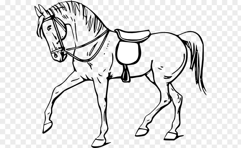 Free Horse Images Tennessee Walking Drawing Coloring Book Clip Art PNG
