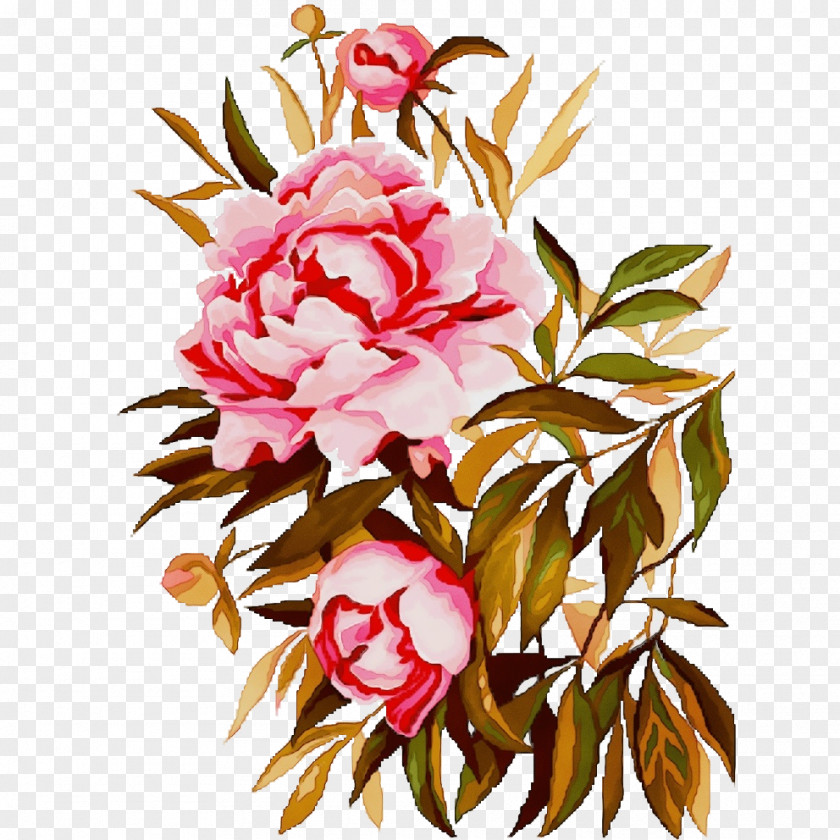 Garden Roses Rose PNG