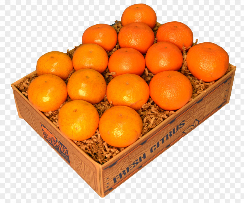 Honey Grapefruit Tea Blood Orange Tangerine Mandarin Clementine Tangelo PNG