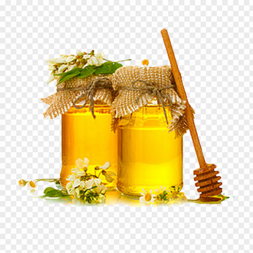 Honey Vector PNG
