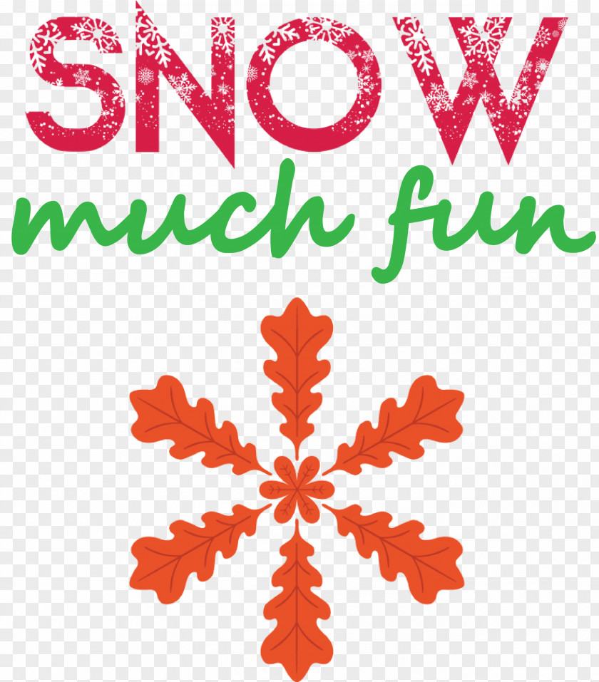 Snow Much Fun Snowflake PNG