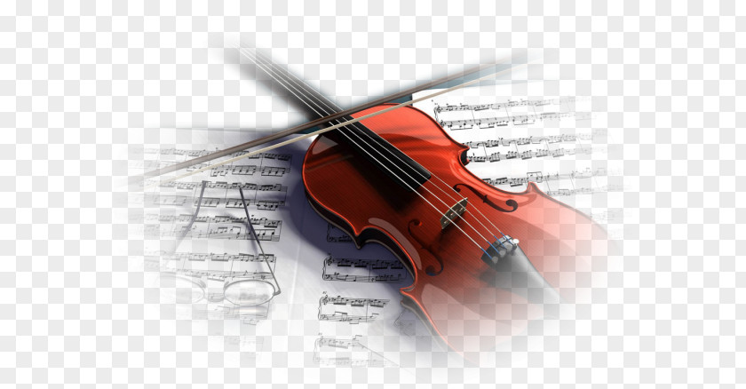 Violin Musical Instruments Photography PNG