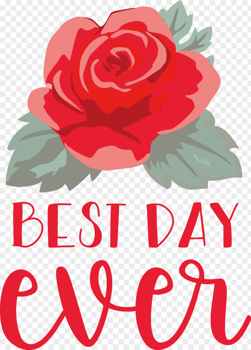 Best Day Ever Wedding PNG