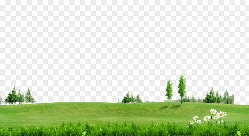 Green Grass Trees On Background Material Fundal Information PNG