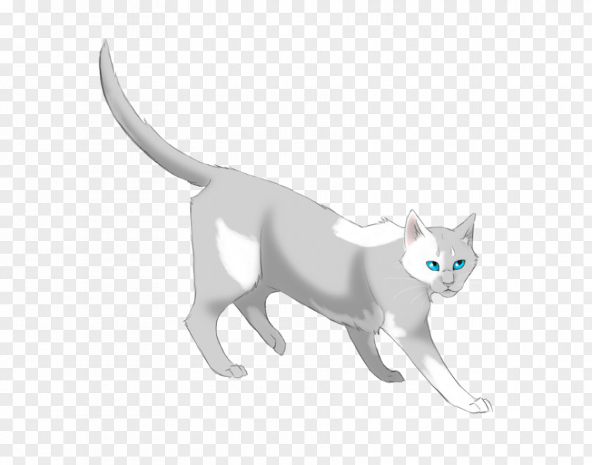 Kitten Whiskers Cat Breezepelt Paw PNG