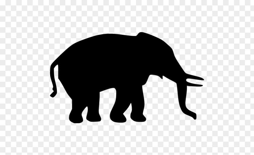 Lion Asian Elephant African Elephantidae Drawing PNG