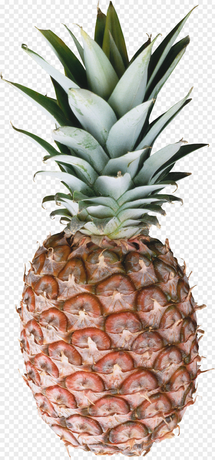 Pineapple Image, Free Download Upside-down Cake Sticker Fruit PNG