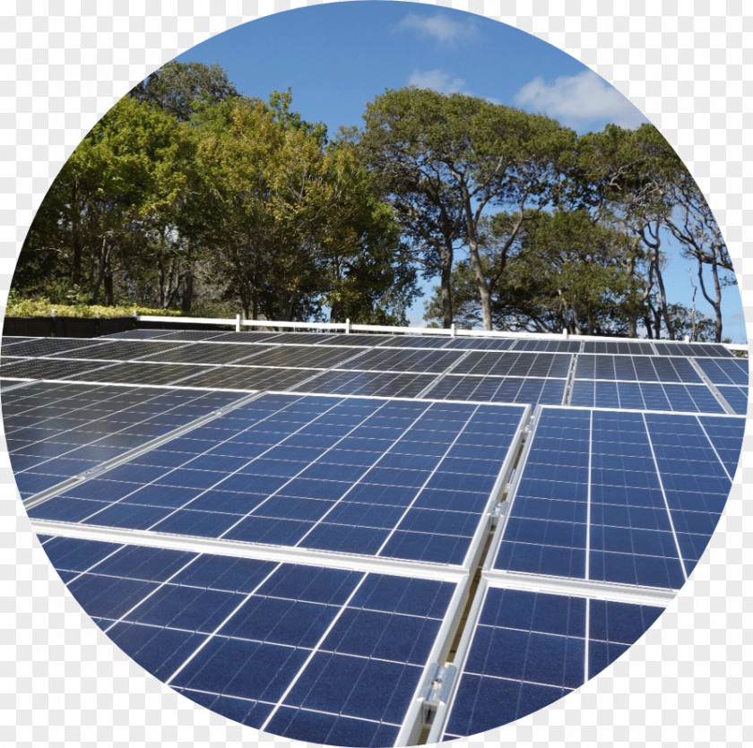 Plant Circle Caribbean Solar Power Latin America Energy Panels PNG