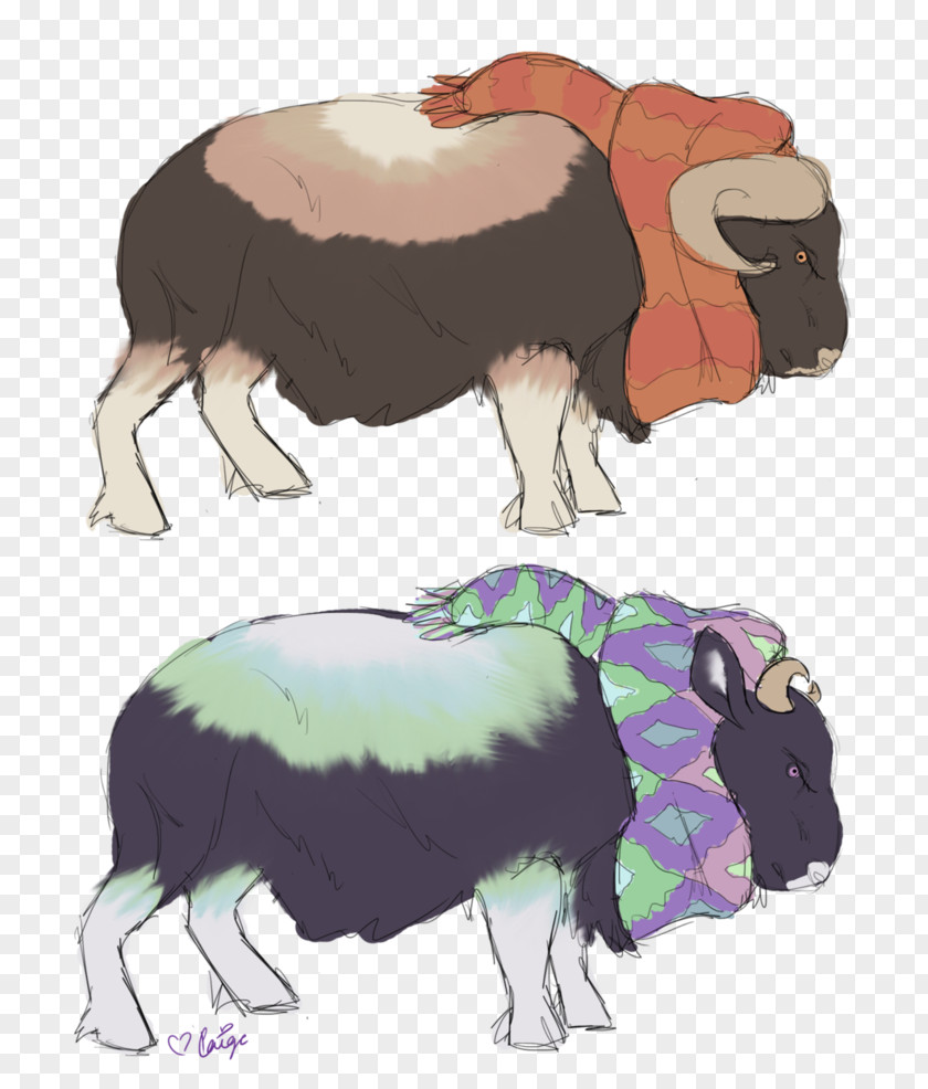 Sheep Cattle Ox Bull Horn PNG