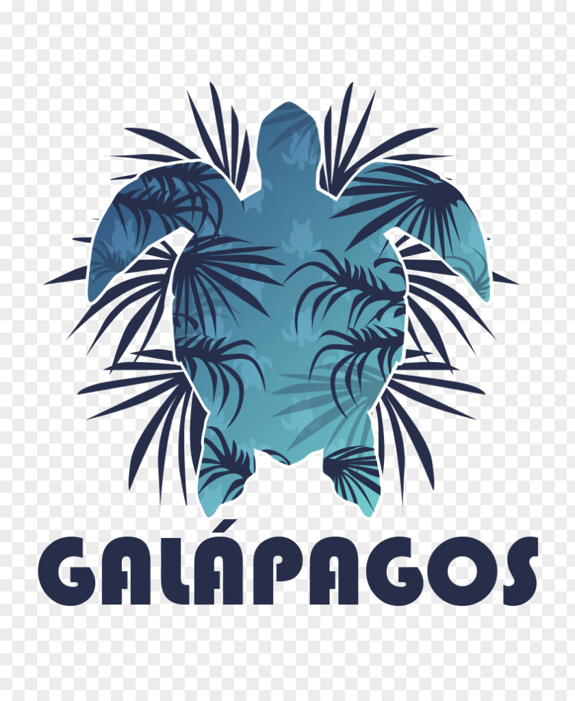 Island Galápagos Islands Santa Cruz Puerto Baquerizo Moreno Baltra Isabela PNG