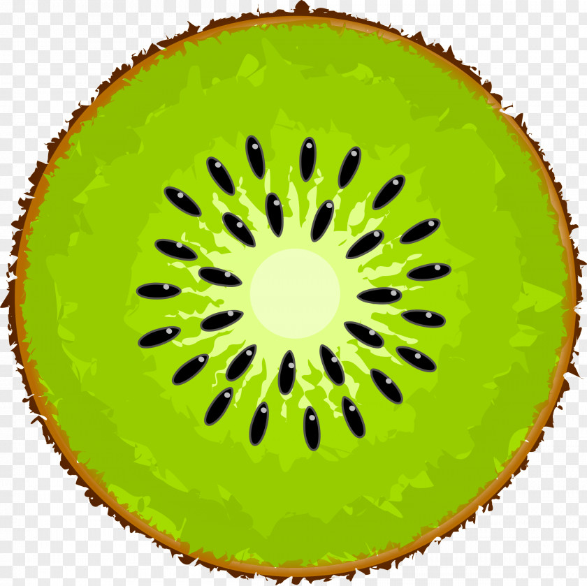 Kiwi Slice Image Kiwifruit Clip Art PNG