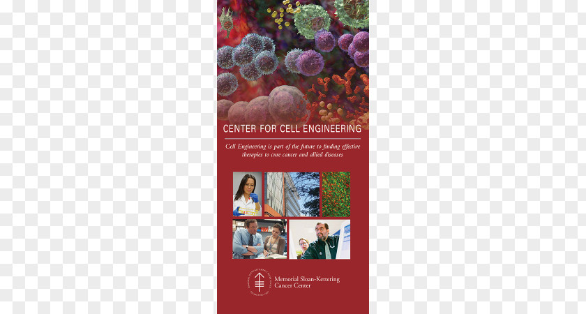 Medical Flyer Design Brochure Art Cell Hematology PNG