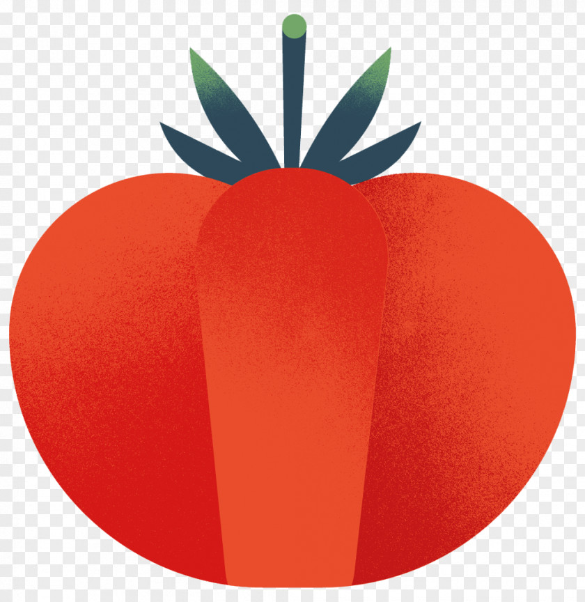 Paprika Illustration Maya Stepien Design And Graphic Designer Illustrator Fruit PNG