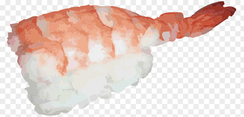 Sushi Fish Onigiri Makizushi Clip Art PNG