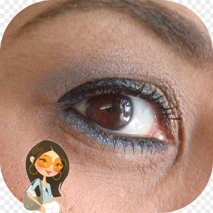 Vila Canto Da Floresta Eyelash Extensions Eye Liner Shadow Lip PNG