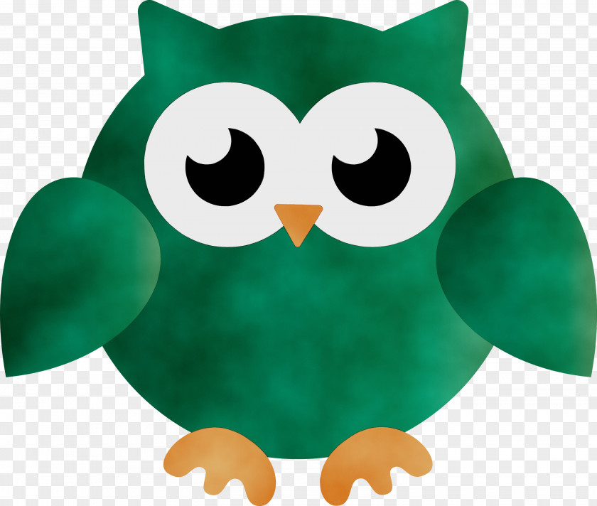 Beak Birds Green Bird Of Prey Owl M PNG