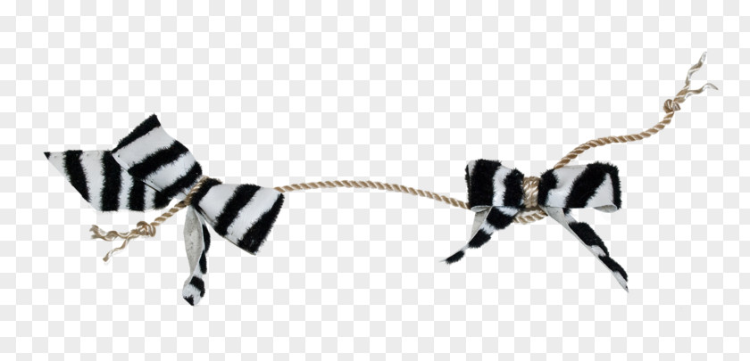 Black Bow Bar And White PNG