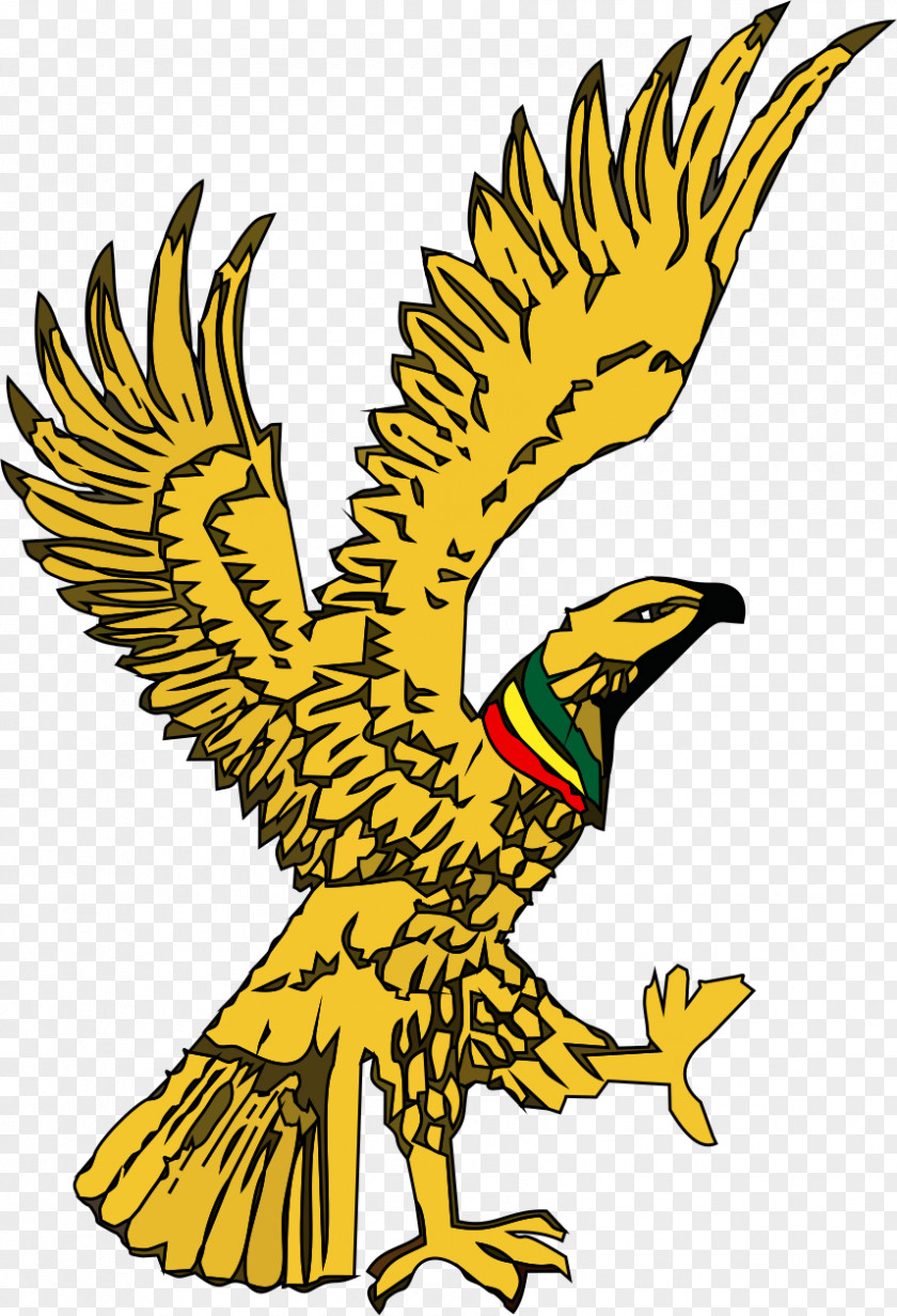 Eagle Bald Ghana Beak Line Art Clip PNG