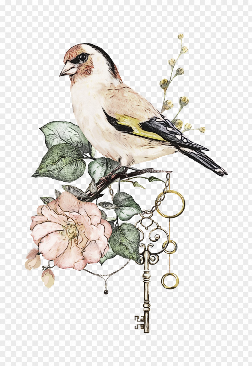 Emberizidae Loggerhead Shrike Watercolor Flower Background PNG