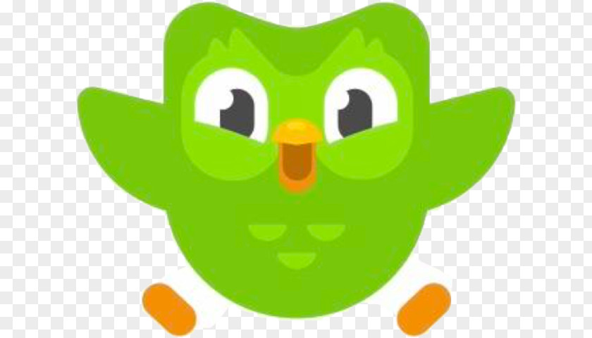Green Cartoon Yellow Owl Bird PNG