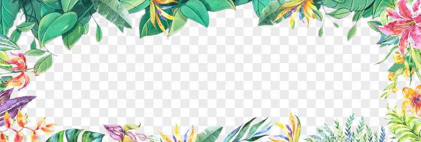 Summer Fresh Hand Painted Plant Borders PNG