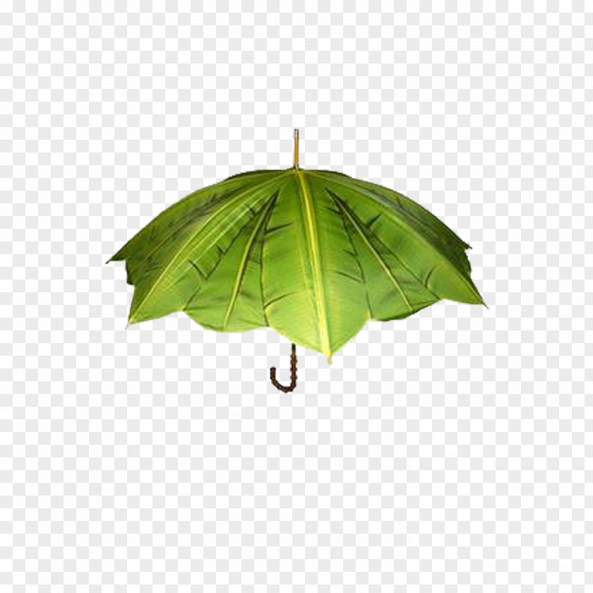 Umbrella Creativity Designer PNG