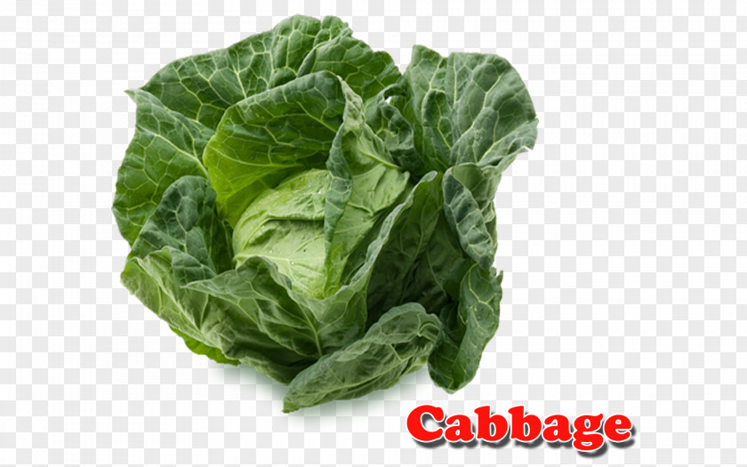 Cabbage Spinach Vegetarian Cuisine Vegetable Collard Greens PNG