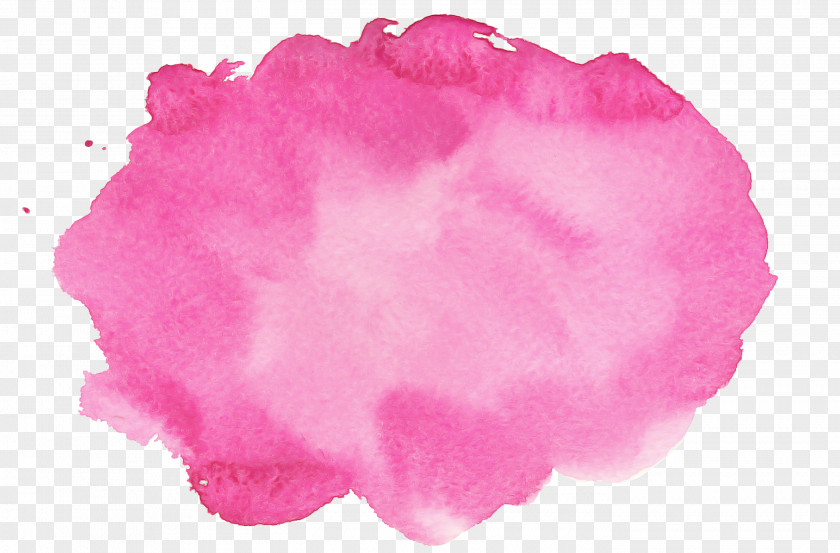 Pink Petal Magenta PNG