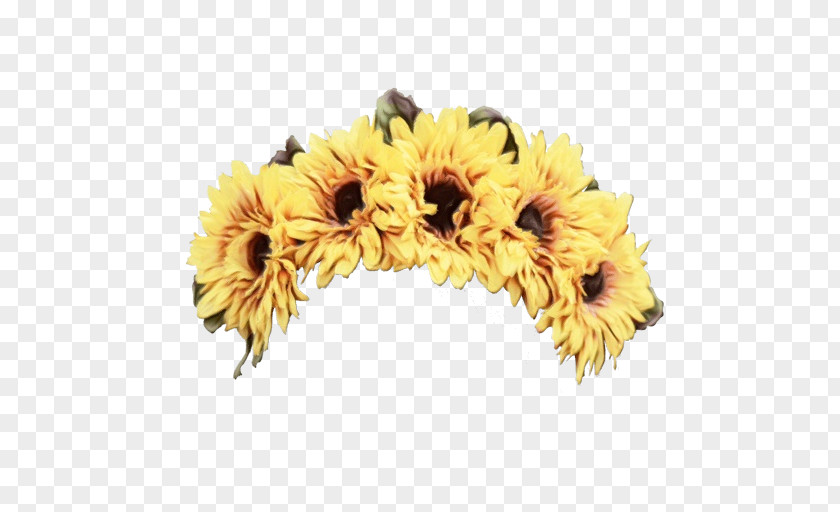 Sunflower Headgear PNG
