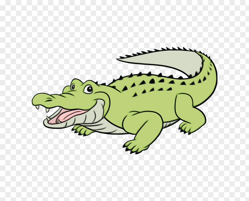 Alligators Crocodile Drawing Tutorial Cartoon PNG