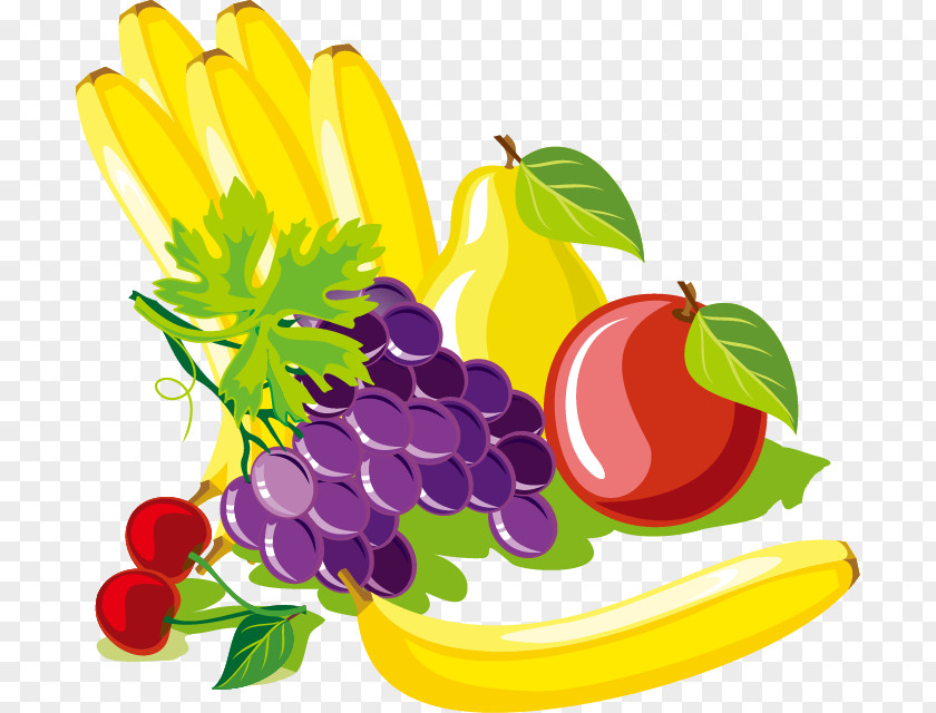 Exquisite Fruits And Vegetables Fruit Vegetable Food Illustration PNG