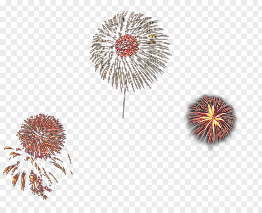 Fireworks Adobe PNG