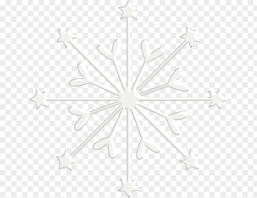 HD Beautiful Snowflake White Symmetry Pattern PNG