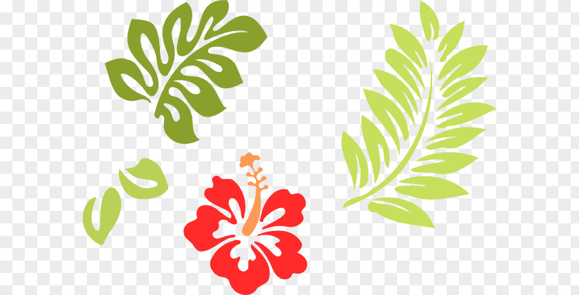 Shoeblackplant Hawaiian Hibiscus Clip Art PNG